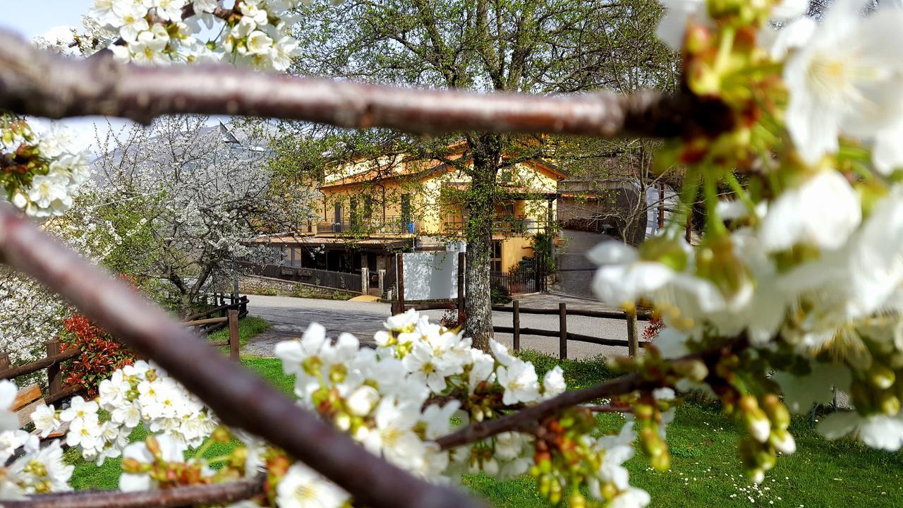 Agriturismo Aria Fina Βίλα Mormanno Εξωτερικό φωτογραφία